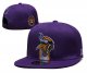 Minnesota Vikings Purple Cap