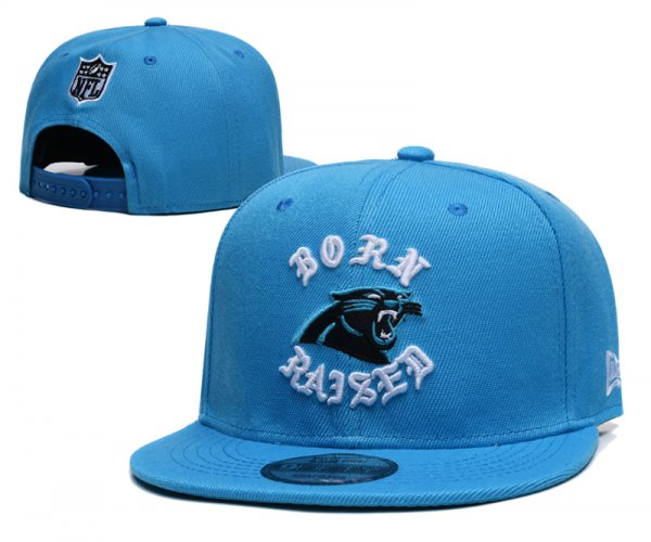 Carolina Panthers Blue Cap