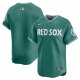 Men's Boston Red Sox Nike Green 2025 City Connect Jersey