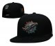 Miami Dolphins Black Cap