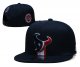 Houston Texans Blue Cap