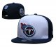 Tennessee Titans Black and White Cap