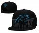 Carolina Panthers Black Cap