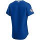 Men's Chicago Cubs Nike Royal Alternate Team Jersey